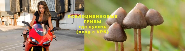 гидра Лихославль