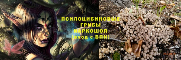 apvp Лиски