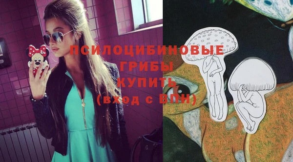 apvp Лиски