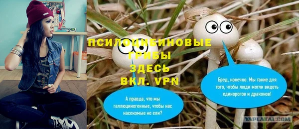 дурь Липки