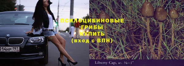 дурь Липки