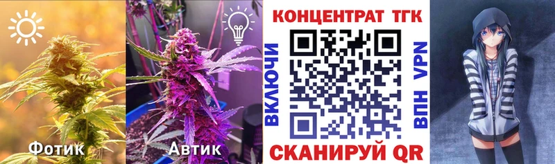 Купить где  Мелеуз  ТГК концентрат 