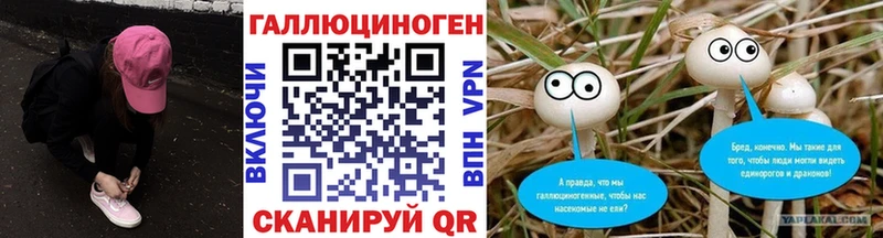 Купить закладки  Мелеуз  Псилоцибиновые грибы Cubensis 